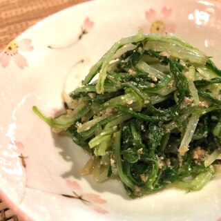【簡単副菜】水菜の胡麻和え わさび風味